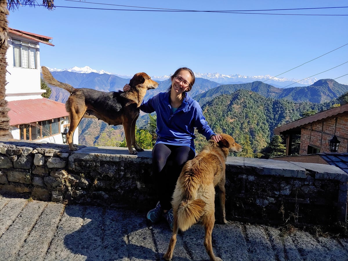 Leaf with some dog friends