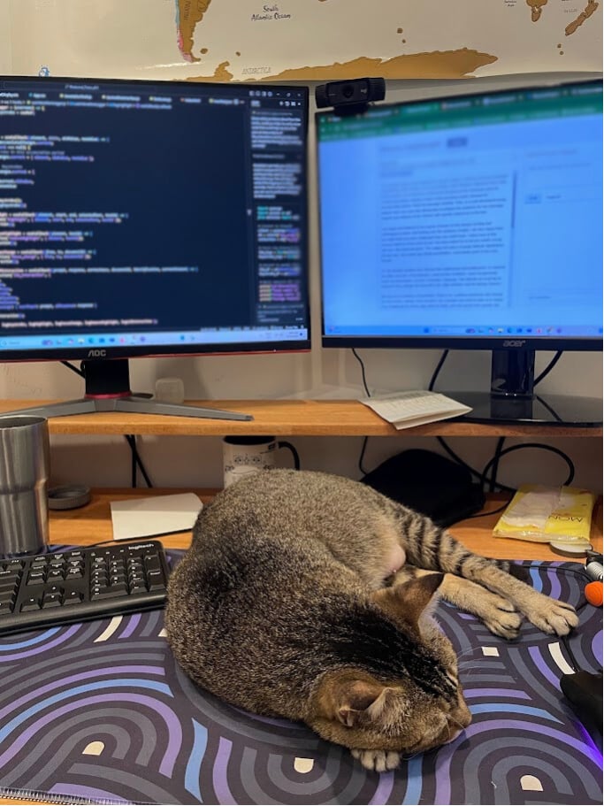 Desk cat